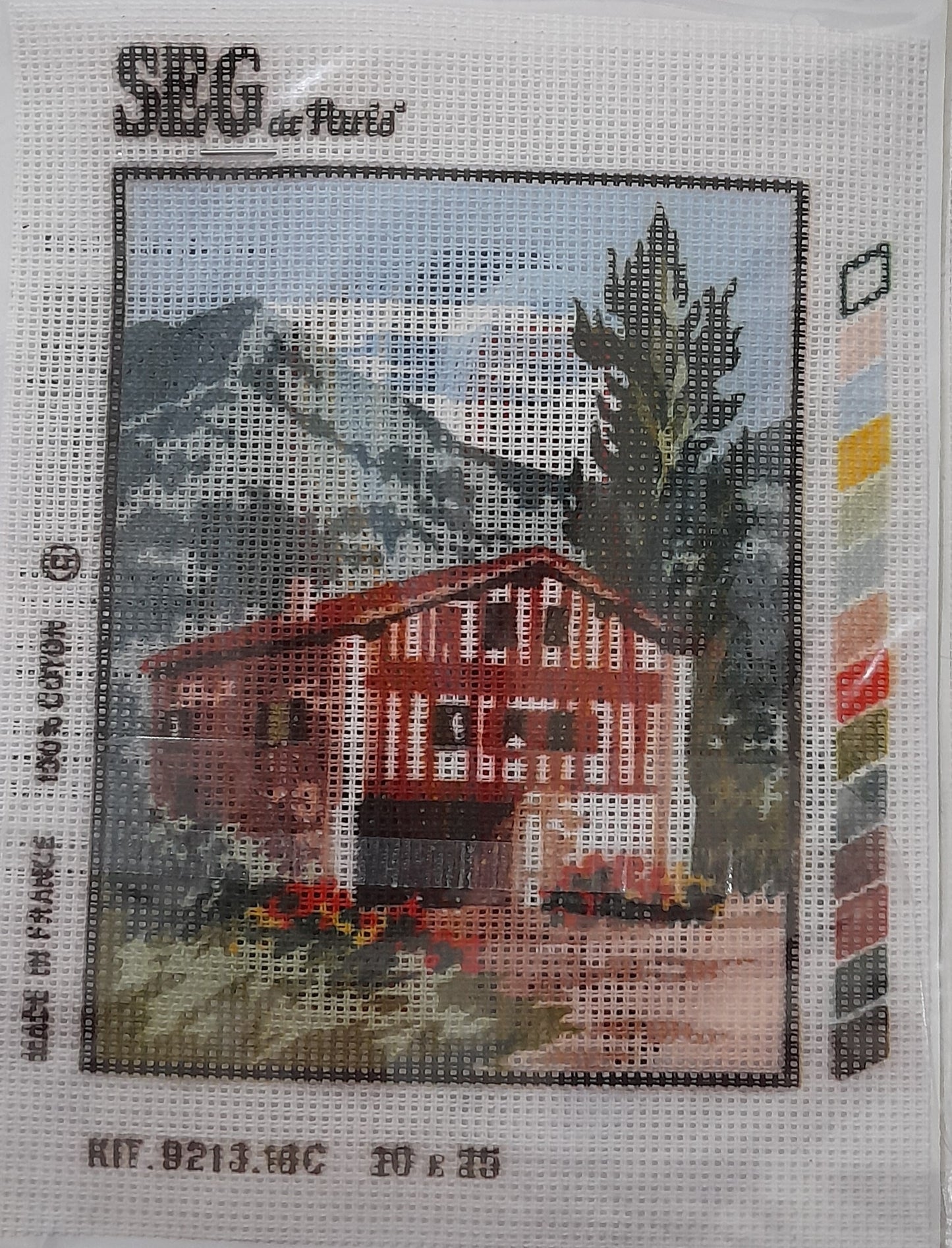 Kit da ricamo mezzo punto per creatività senza limiti