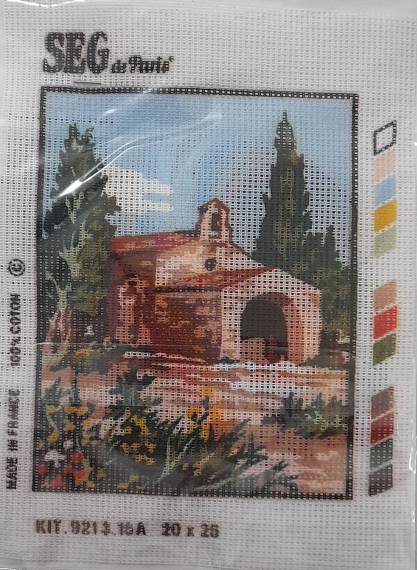 Kit da ricamo mezzo punto per creatività senza limiti