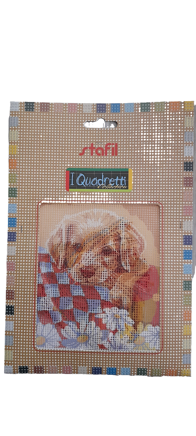 Kit da ricamo mezzo punto per creatività senza limiti
