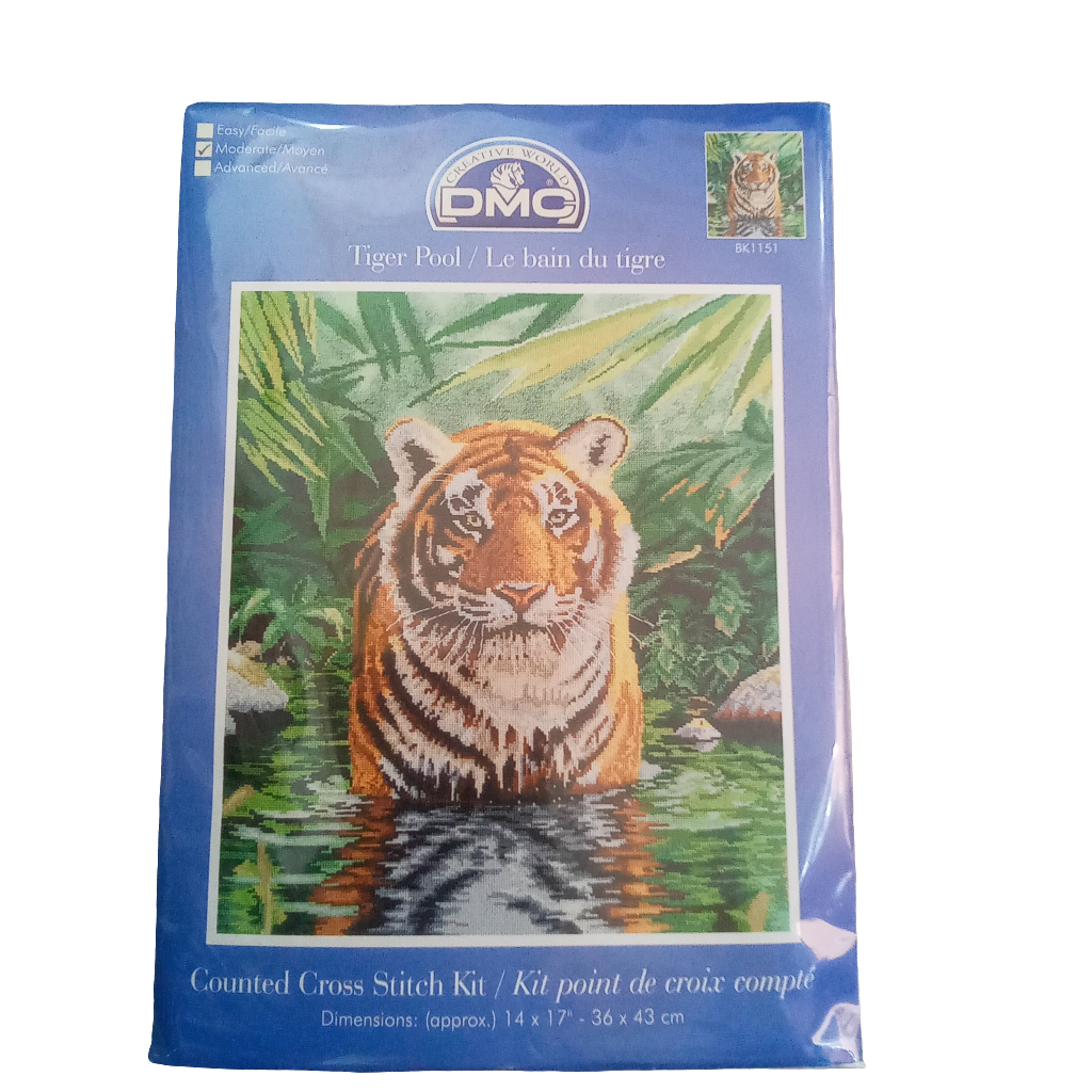 Kit Ricamo Punto Croce - Crea Capolavori Iconici