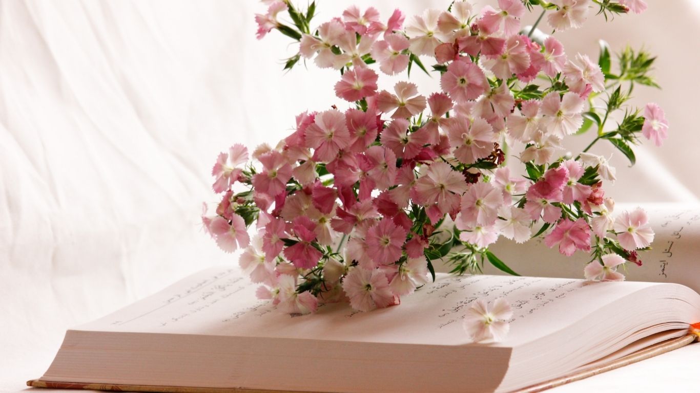 Libri e manuali